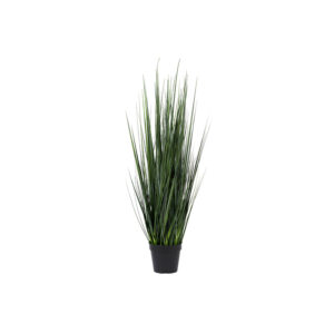 Grass in pot