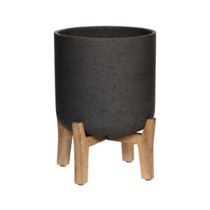 Charlie M (Feet Low)