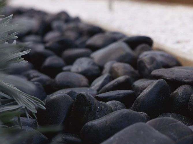 Galets & Pierres Roulées