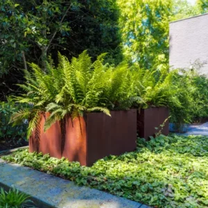 Bac et jardinière Corten