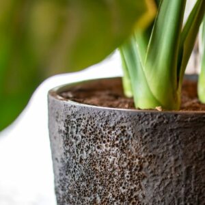 Bac et jardinière Pottery Pots