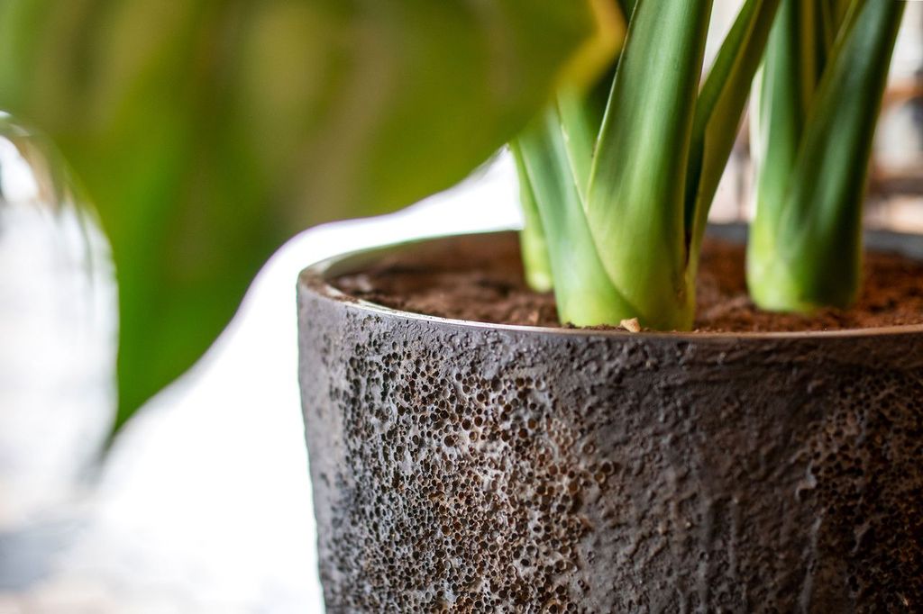 Bac et jardinière Pottery Pots