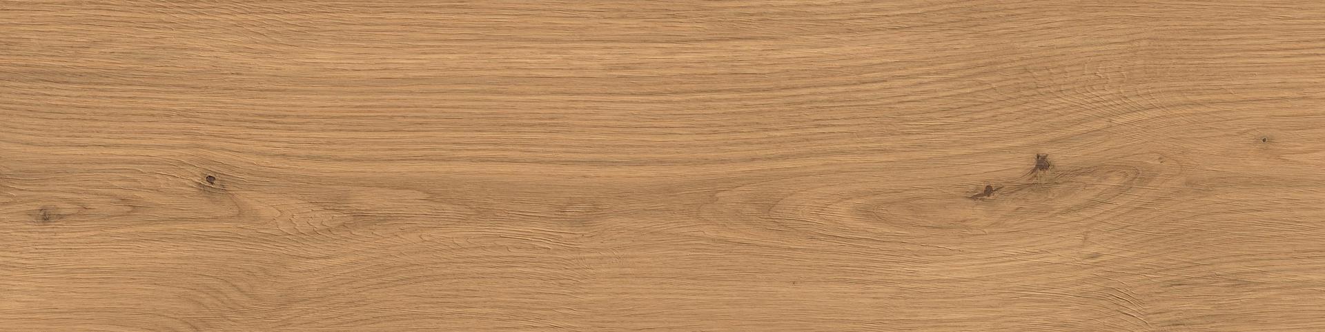 LOG AMBER OAK FOREST