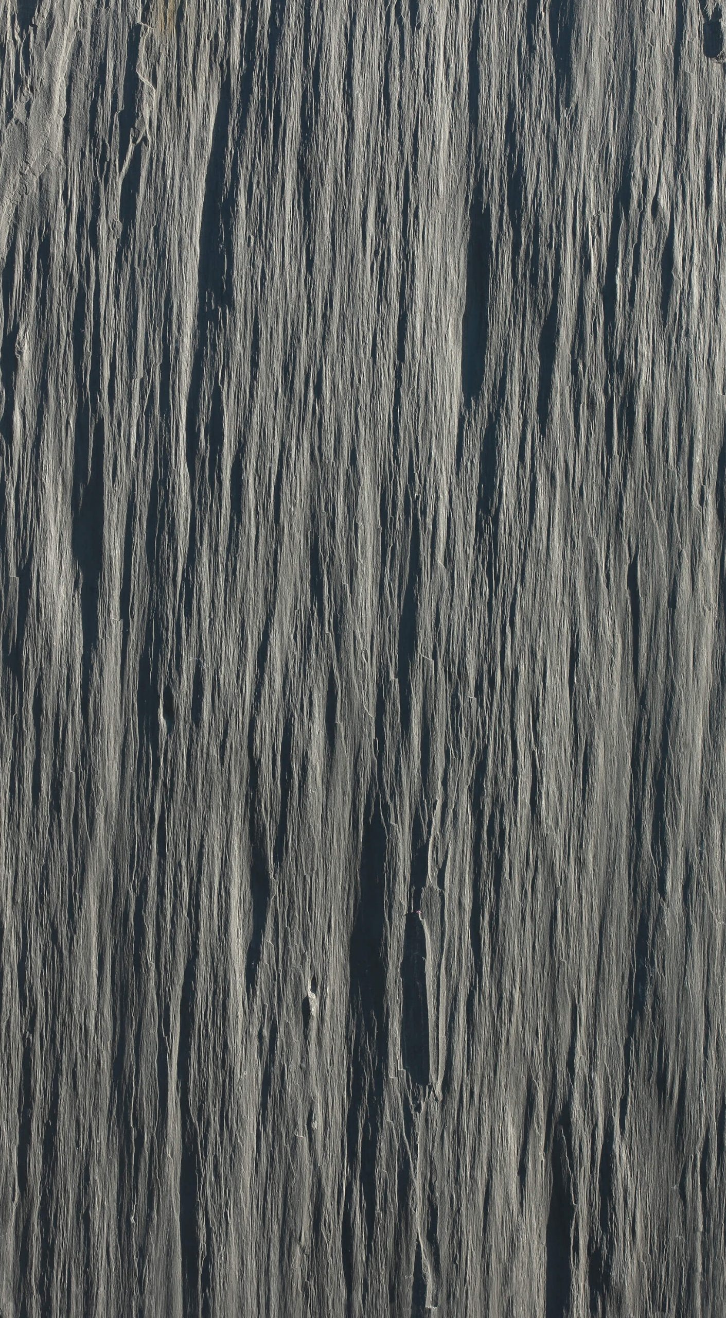 PALIS SCHISTE